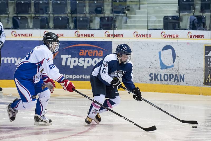 V sobotním exhibičním hokejovém zápase vyzvaly liberecké Bílé Tygřice na ledě Tipsport areny hvězdný tým HC Olymp.