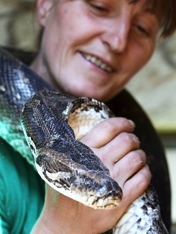 Marta Kokrtová připravuje zvířata k vystoupení.