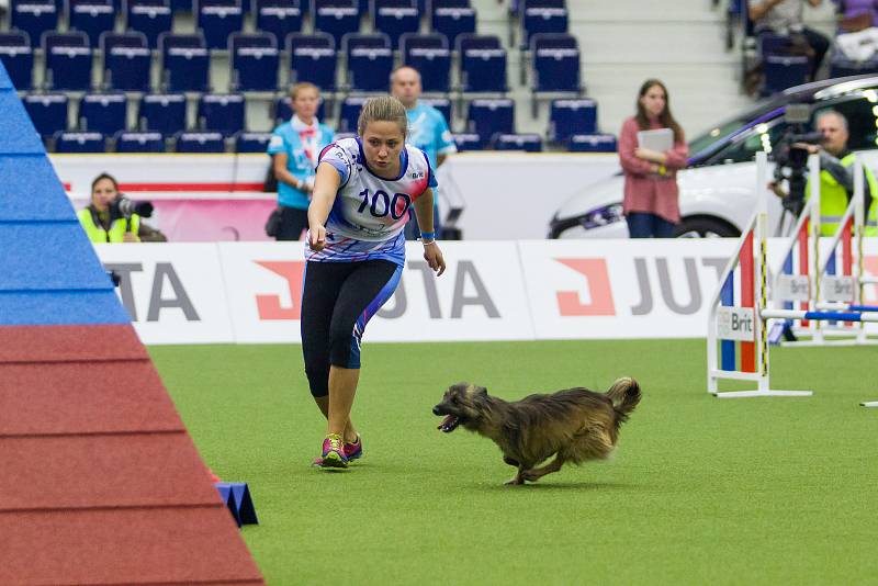 Poslední den Mistrovství světa v agility proběhl 8. října v Home Credit areně v Liberci. Na snímku je Kateřina Malačková se psem Izzy při disciplíně agility jednotlivců se středně velkými psy.