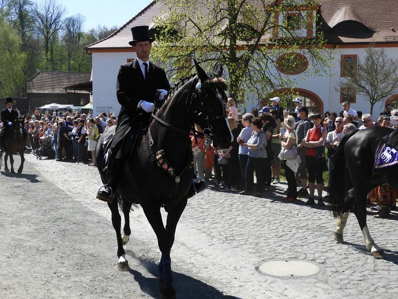 Tradiční jízdy po lužických vsích se účastní desítky jezdců na koních. Podívanou si nenechají ujít stovky lidí.