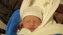 Michal Miloševič se narodil 20. listopadu 2018 v liberecké porodnici mamince Petře Miloševičové z Liberce. Vážil 2,8 kg a měřil 48 cm.