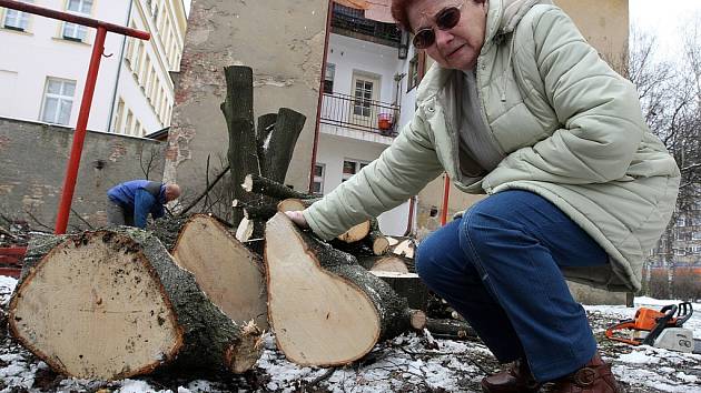 Proti pokácení lípy protestovalo zhruba čtyřicet lidí.  Na snímku rozhořčená Marie Teplíková z přilehlého domu.