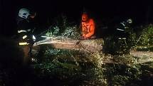 V noci odstraňovali padlé stromy po bouři také hasiči z Hamru na Třeboňsku.