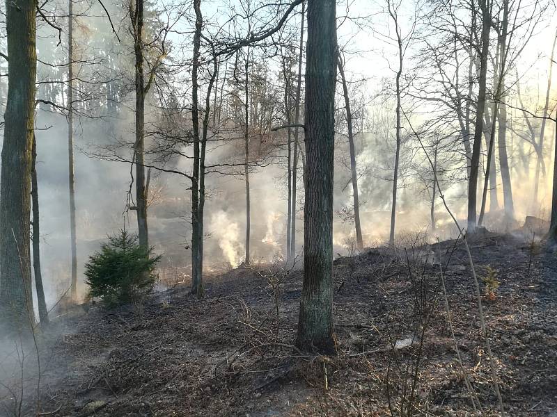 Požár lesa v katastru Hostějevsi na Jindřichohradecku.