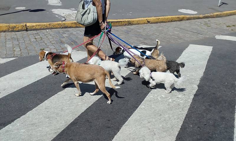 Buenos Aires je podle Mileny Andrle městem mnoha parků.