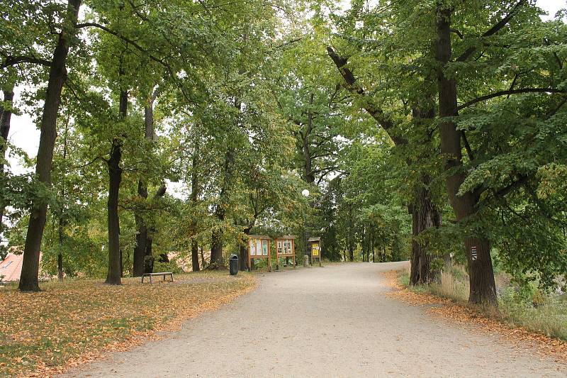 Cyklisté navlečení, lidé v bundách. Takový byl první podzimní den v Třeboni.