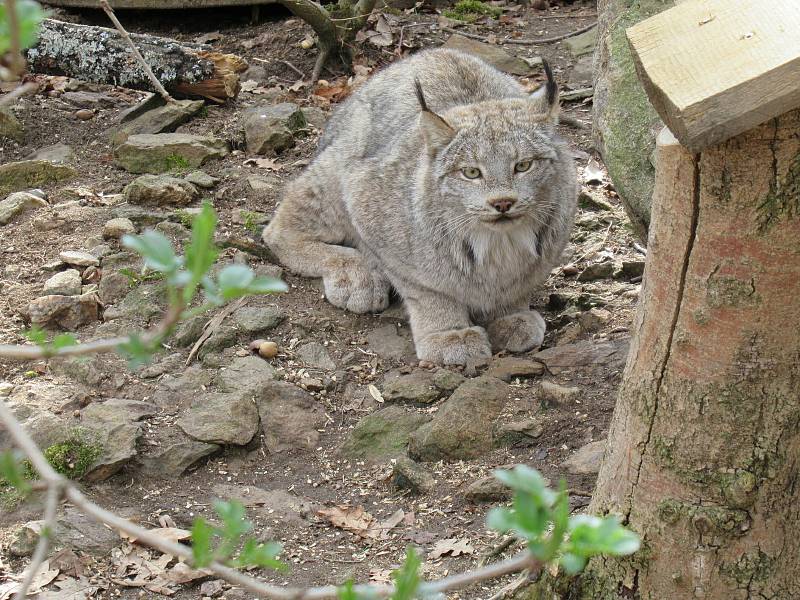 Velikonoce v Zoo Na Hrádečku.