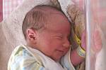 Gabriela Ševčuková se narodila 13. června 2014 v 15 hodin a 12 minut Janě Princové a Romanu Shevchukovi z Jindřichova Hradce. Vážila 3340 gramů.