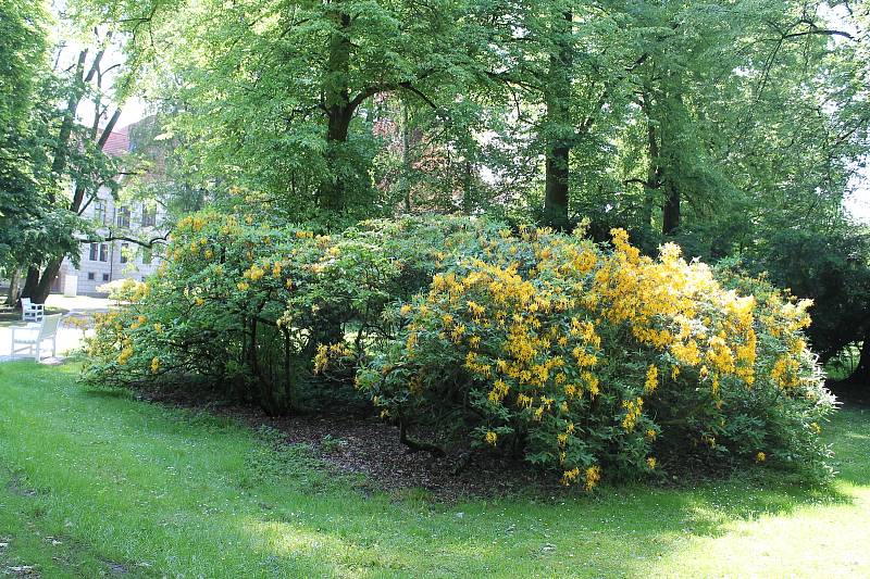 Zámecký park v Třeboni se 1. června opět otevřel veřejnosti.