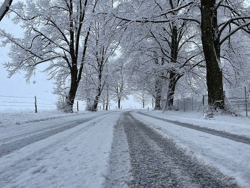 První vydatnější sněžení letošní zimy na Třeboňsku..