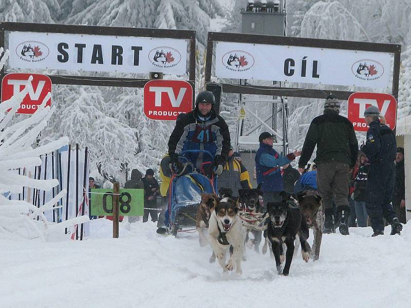 Sobotní závod psího spřežení Českou Kanadou. Start v Klášteře.