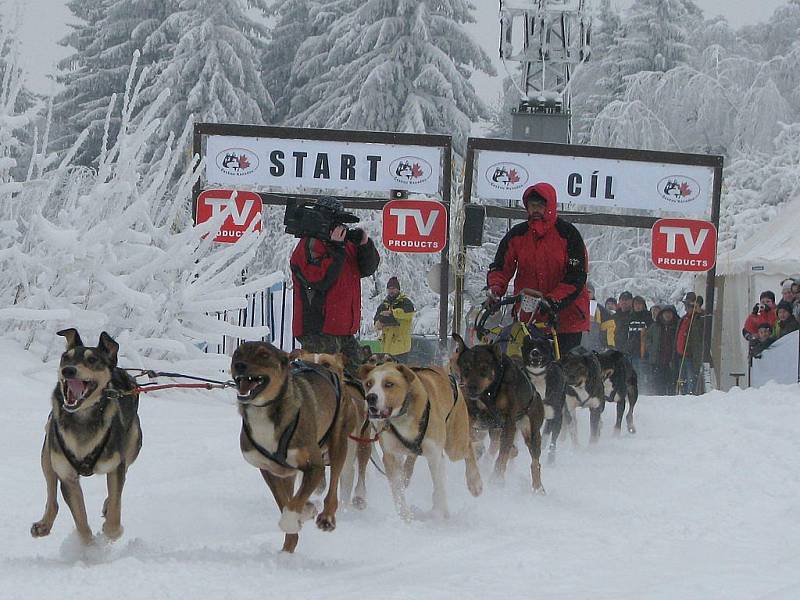 Sobotní závod psího spřežení Českou Kanadou. Start v Klášteře.