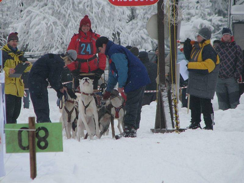 Sobotní závod psího spřežení Českou Kanadou. Start v Klášteře.