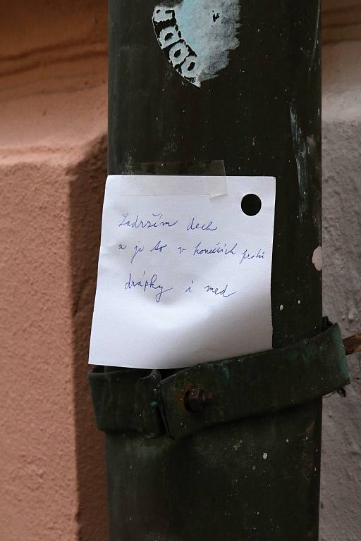 Při roznášení básní v ulicích Třeboně v rámci Guerilla poetringu doprovázela básníky kapela Zrní.