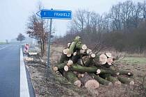 Za kácení stromů na Třeboňsku dostali již dříve silničáři pokutu ve výši 200 tisíc korun.