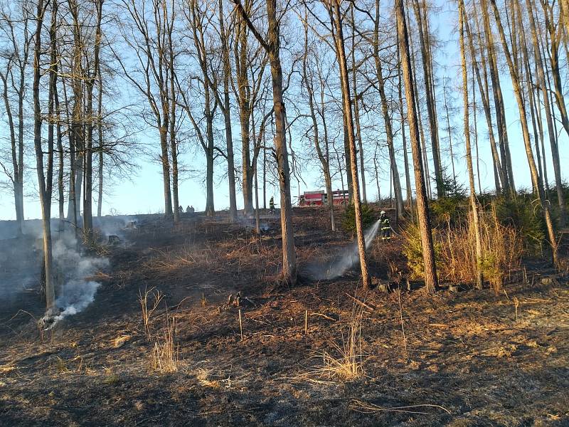 Požár lesa v katastru Hostějevsi na Jindřichohradecku.