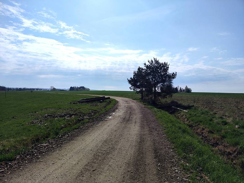 Pohled na místo tragické nehody na spojce z Jarošova na Dolní Radouň u Hánovského rybníka. V podvečer 3. května řidička s autem narazila do jedné z borovic, vůz se převrátil na střechu a žena zraněním podlehla.