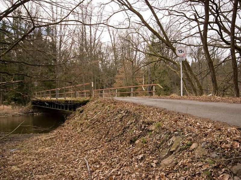 Pohled na místo nálezu těla Soni Illeové u Vodičkovy tůně u obce Val. Most, kde podle jedné z hypotéz mohla být hozena do vody.