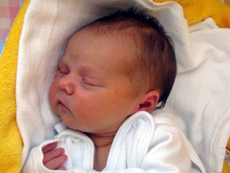 Anna Muselová se narodila 31. července 5 minut před 14. hodinou Petře a Romanovi Muselovým ze Slavonic. Vážila 3540 gramů a měřila 49 centimetrů.