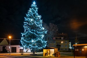 V Písečném jsou na svůj vánoční strom právem pyšní, přehlasovali v anketě Deníku i stromy ve městech Dačice a Jindřichově Hradci.