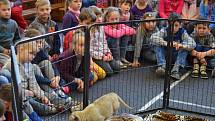 Za dětmi z třeboňské základní školy v Sokolské ulici přijela návštěva ze zoo. Foto: Radka Škulaviková