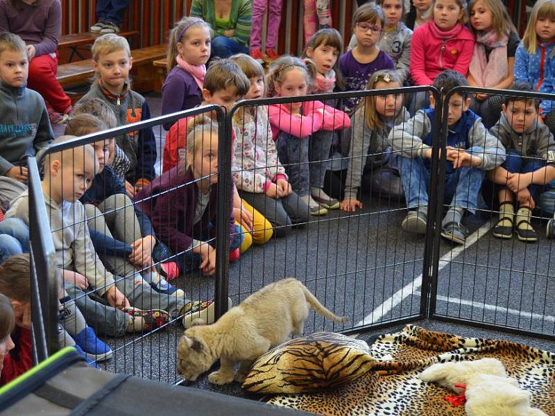 Za dětmi z třeboňské základní školy v Sokolské ulici přijela návštěva ze zoo. Foto: Radka Škulaviková