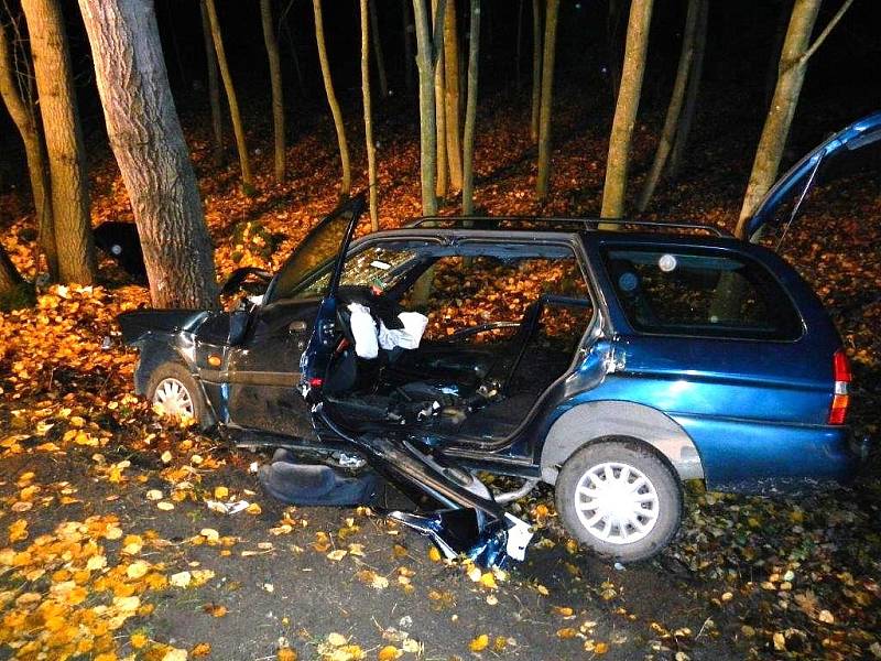 U Budíškovic narazilo auto do stromu. Ve voze zůstaly zaklíněné dvě osoby. 