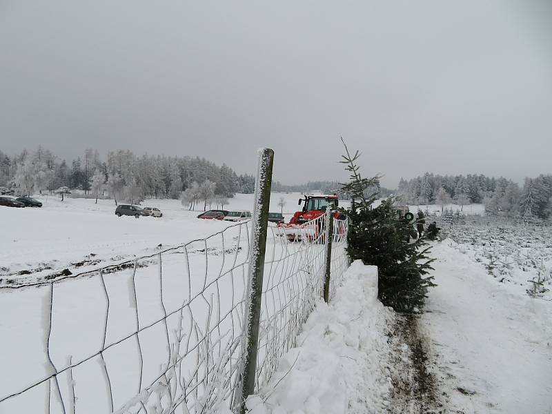 Rodinná plantáž s vánočními stromky několika druhů je otevřená od soboty 11. prosince denně. Zájemci si zde u Smetanových mohou vybrat vždy od 9 do 12 a od 13 do 16 hodin.