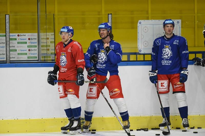 Hokejový národní tým se připravuje v Jindřichově Hradci.