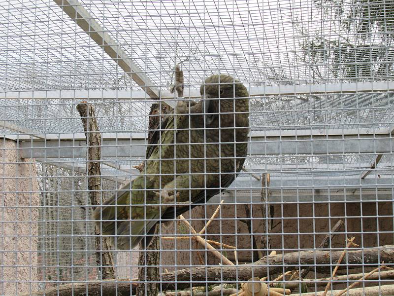 Velikonoce v Zoo Na Hrádečku.