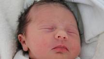 Eliška Lexová se narodila 25. ledna Denise a Janu Lexovým z Chlumu u Třeboně. Měřila 49 centimetrů a vážila 2940 gramů. 