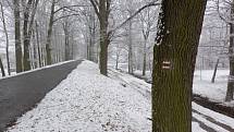 Sněžení nabídlo idylickou atmosféru v místech, která jsou v létě v obležení turistů. Jako například obec Lužnice nebo hráz rybníka Rožmberk s křižovatkou cyklotras.