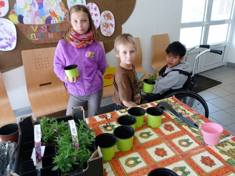 Děti z praktické základní školy uklízely okolí budovy a věnovaly se zahradničení.