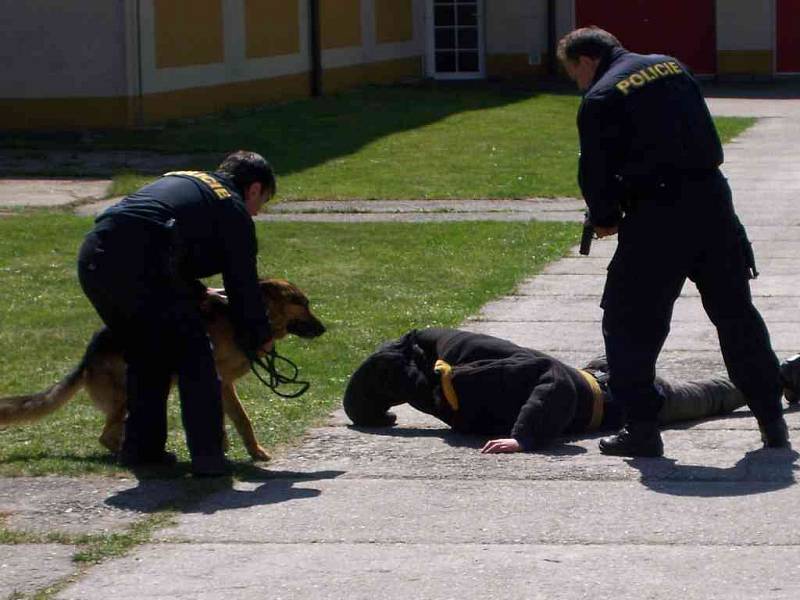 Vydařená sobota v požární stanici v Jindřichově Hradci byla plná ukázek z práce hasičů, policistů a záchranářů.