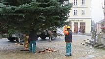 Dvanáctimetrová jedle ojíněná putovala v pondělí 22. listopadu z Mnichu u Kardašovy Řečice do centra Jindřichova Hradce. Ozdobí ji dvoukilometrový světelný řetěz.