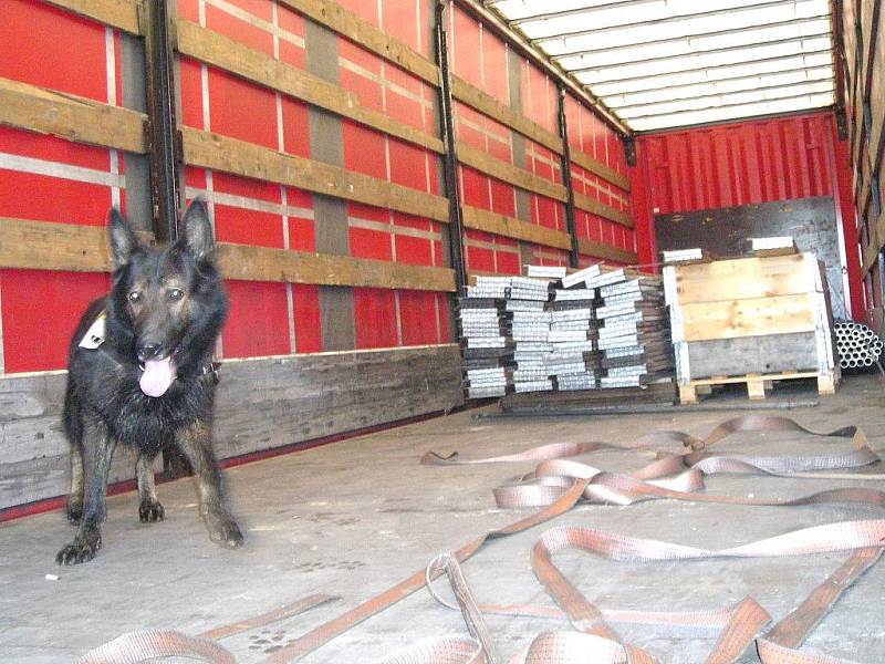 Kontrolní akce cizinecké policie v Majdaleně. 