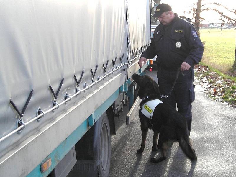 Kontrolní akce cizinecké policie v Majdaleně. 