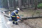 Dobrovolní hasiči ze Starého Města pod Landštejnem v neděli vyjížděli ke dvěma spadlým stromům na silnici směrem na Stálkov.