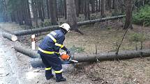 Dobrovolní hasiči ze Starého Města pod Landštejnem v neděli vyjížděli ke dvěma spadlým stromům na silnici směrem na Stálkov.