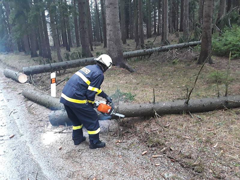 Dobrovolní hasiči ze Starého Města pod Landštejnem v neděli vyjížděli ke dvěma spadlým stromům na silnici směrem na Stálkov.