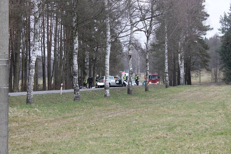 U Lásenice se střetlo osobní auto s kamionem. Jedna osoba v autě na místě zemřela, druhá byla těžce zraněná. 