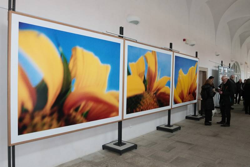 Českou část výstavy Nepředvídaná informace zahájili v pátek v Muzeu fotografie a moderních obrazových médií v Hradci.