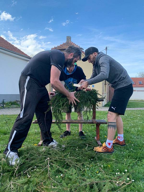 Stavění máje v Dunajovicích.