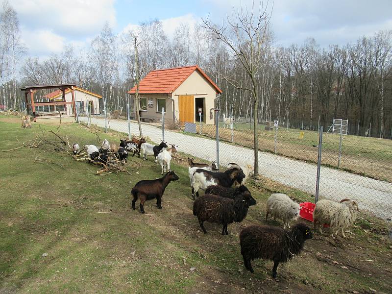 Velikonoce v Zoo Na Hrádečku.