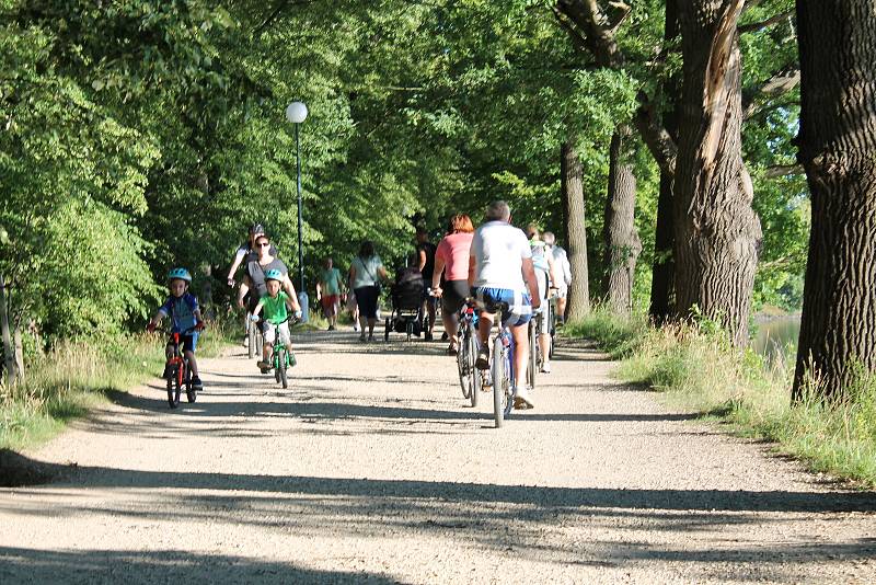 Cyklisté letos v lázeňském městě páchají více přestupků.