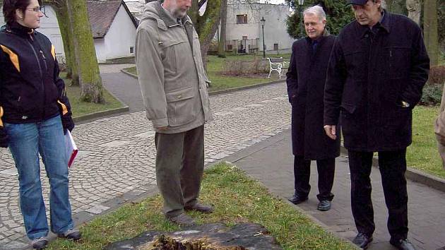 Právě tento pařez nedaleko sochy Mistra Jana Husa je pomyslným vztyčeným prstem. Je totiž němým svědkem nedávné události, kdy se strom úctyhodného průměru rozlomil a spadl jen pár metrů před dětský kočárek.