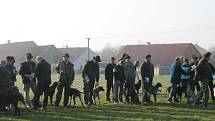 V sobotu se uskutečnil ve Velkém Ratmírově svod loveckých psů. 