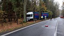 Střet osobního auta s kamionem u Majdaleny si vyžádal život řidičky.