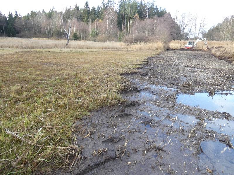 Těžká technika pomáhá přírodě na rašeliništi u Nové Bystřice.