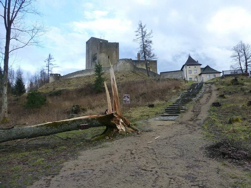 Na přístupové cestě k hradu Landštejn se poroučel k zemi obří strom.